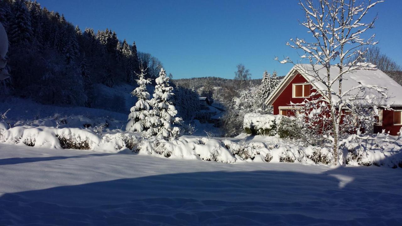 Le Bois Joli Chalet 4 Etoiles Cledicihome Cadre Paisible En Lisiere De Foret Gérardmer Eksteriør bilde